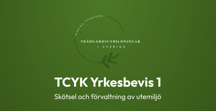 Screenshot 2026-02-03 104212